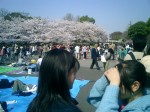 Even though we arrived at Ueno Park early, already there was a lot of people there.