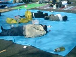 There are so many people lying around - have they been there since the AM, or did they get there last night?