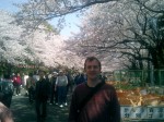 There are not too many people viewing the Cherry Blossoms... yet...
