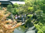 A shot of the wonderful Japanese garden.